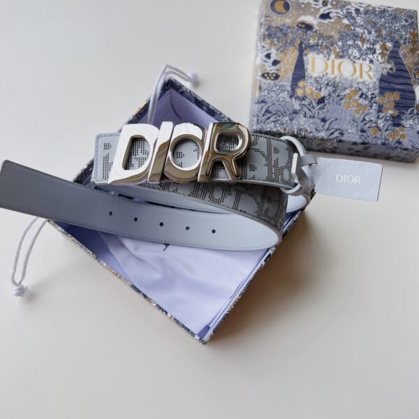 Dior Printed Silver Buckle Belt - DB019